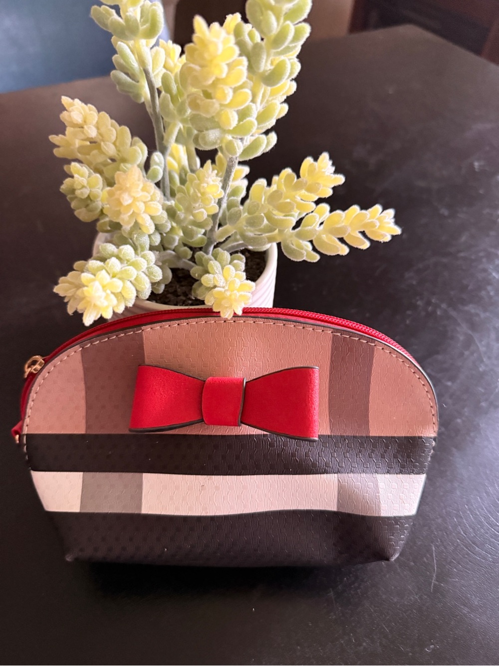 Striped Cosmetic Pouch with Red Bow Accent